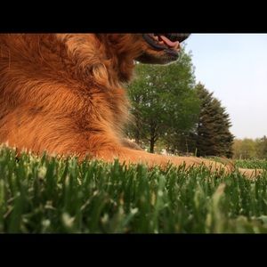 Meet your Posher, Cate